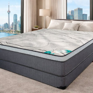 Dream Plush 12 inch Pocket Coil Mattress Toronto Skyline View